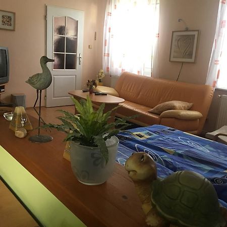 Apartamento U Evy Jarošové Desná Exterior foto